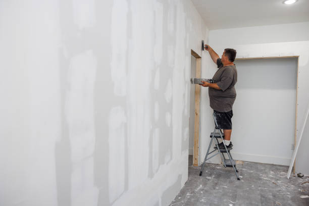Best Forensic Mold Investigation  in Lakewood, WA