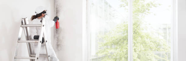 Best HVAC Mold Inspection and Cleaning  in Lakewood, WA